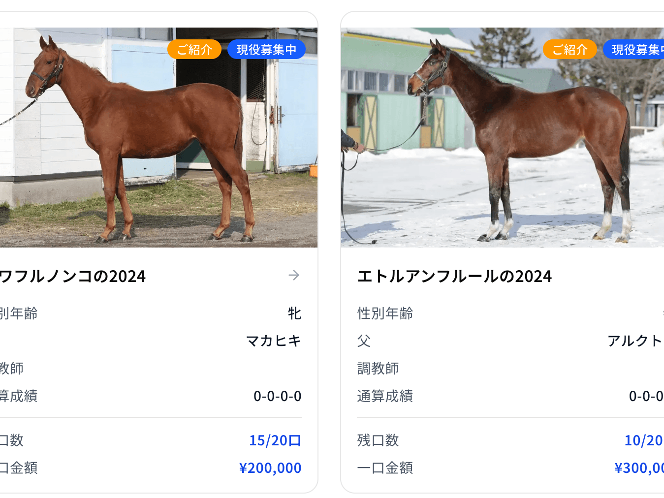 共有馬主の募集画面 - 代表馬主として募集できる