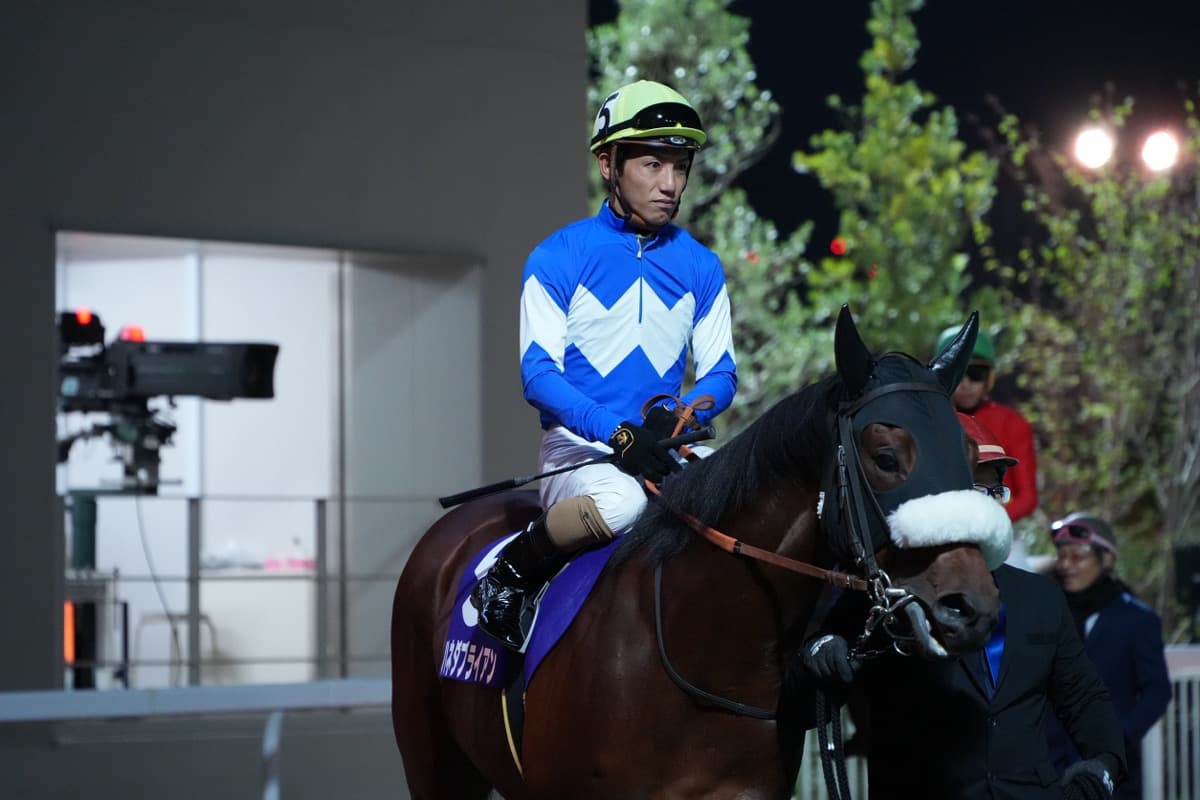 競馬場のパドック風景