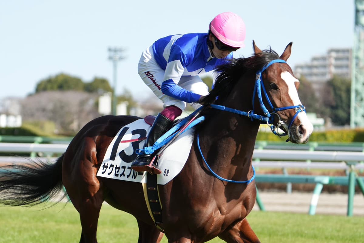 サクセスブルー