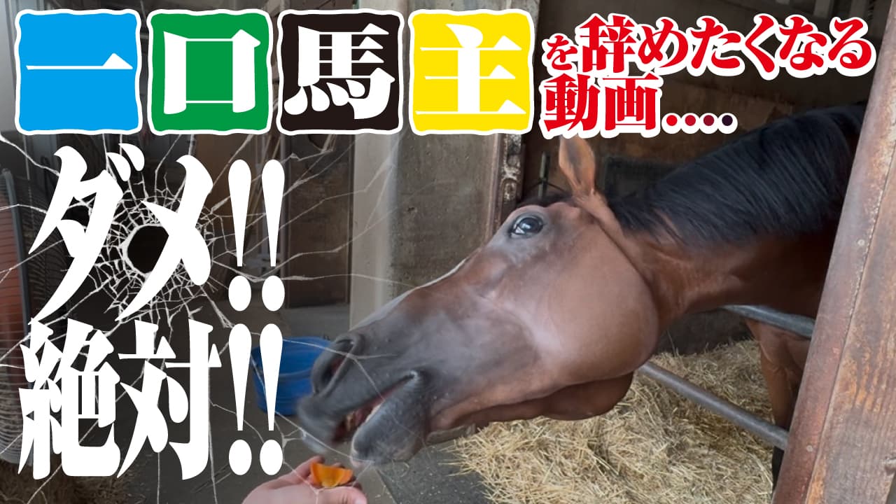一口馬主はダメ!絶対!新規入会を辞めたくなる動画