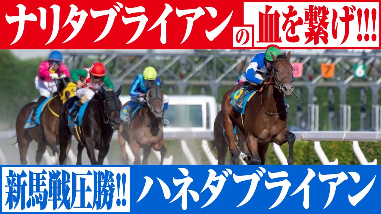 ハネダブライアンが新馬戦を5馬身差で圧勝!