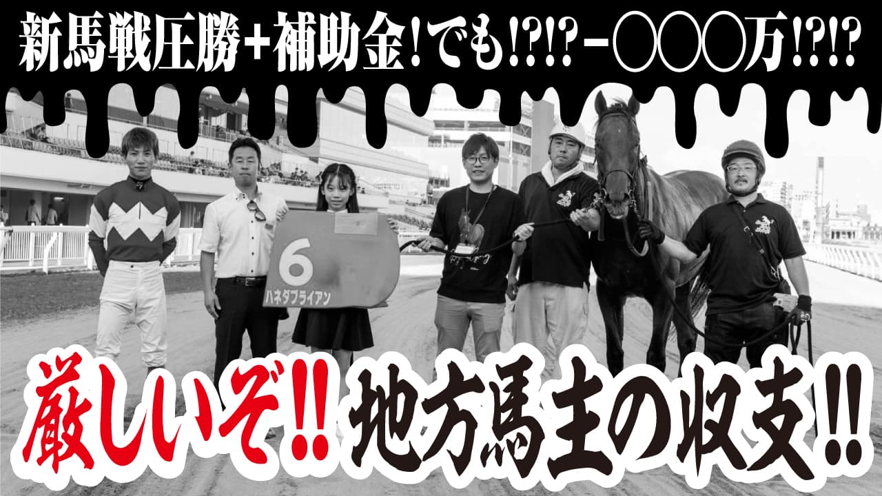 地方馬主のリアル収支公開!ハネダブライアンの収支はプラス?