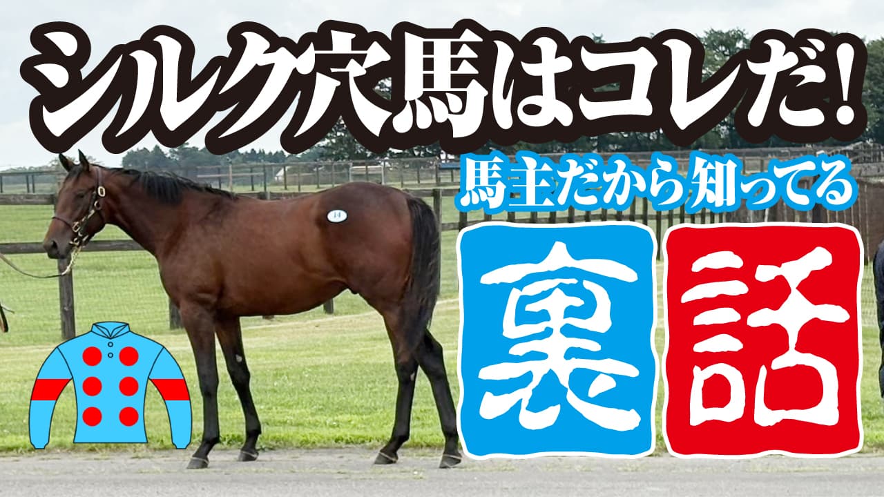 シルクの穴馬はコレだ!馬主だけが知ってる裏話を公開