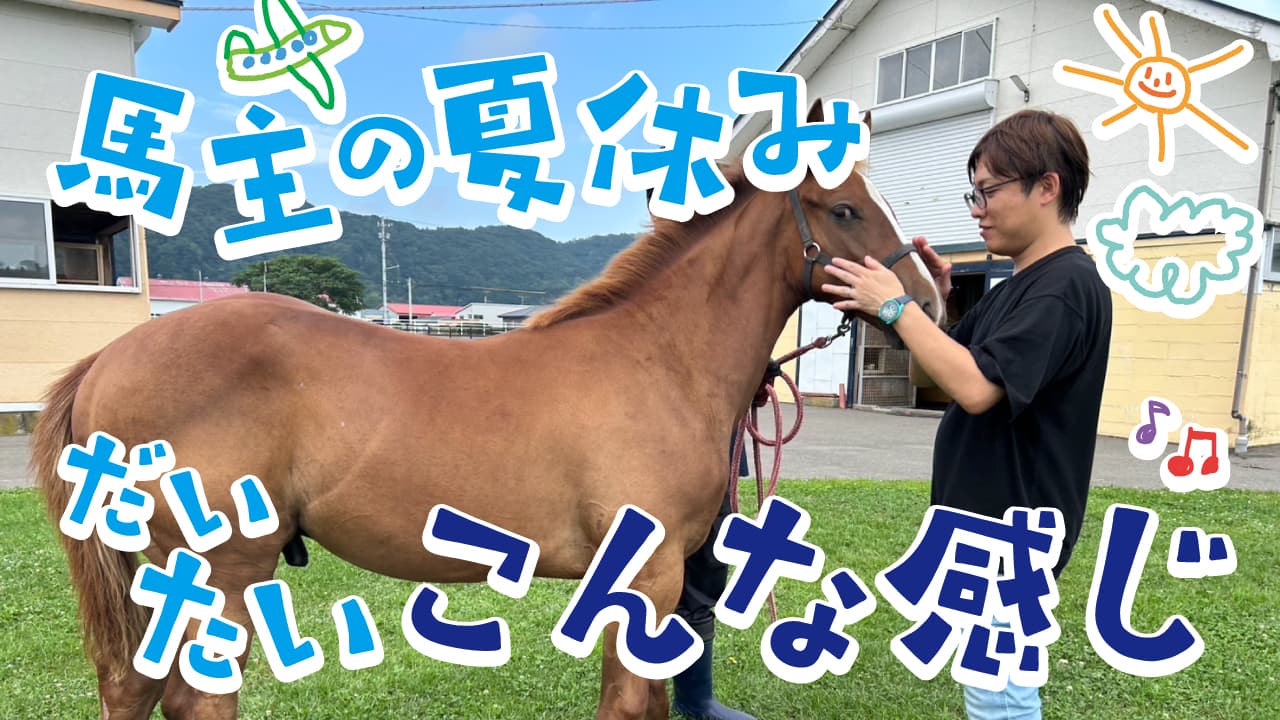 馬主の夏休み!所有馬ニジイロノコマ25とクリスプ25を紹介
