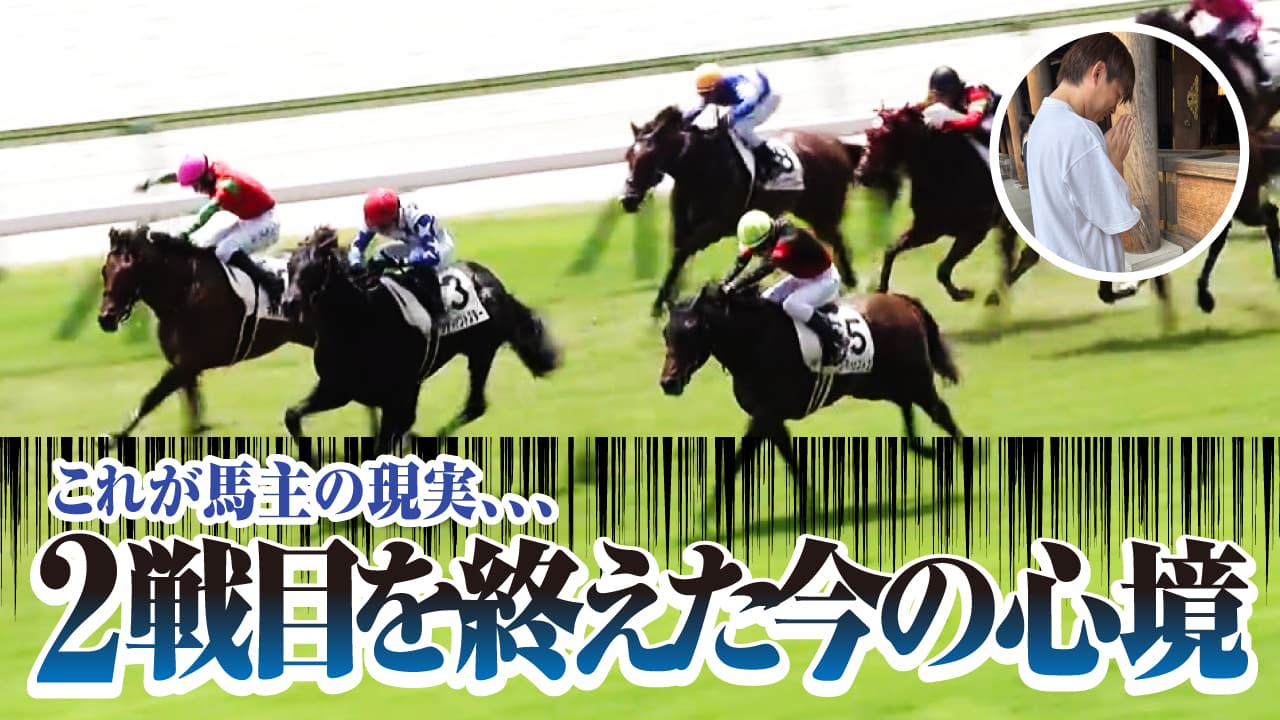 馬主の現実!ウィングブルー2戦目を終えてリアルに思うこと