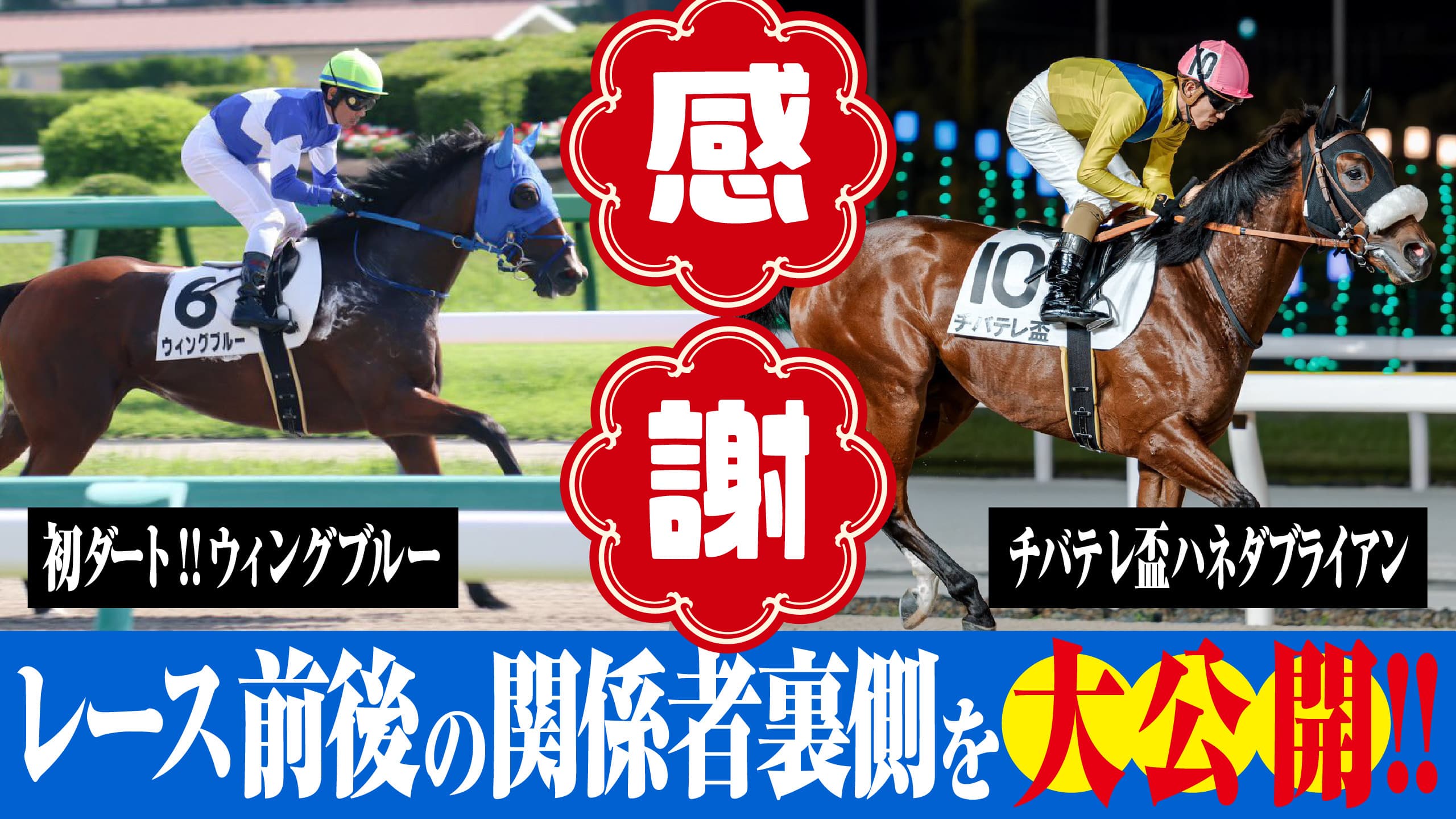 ウィングブルー3戦目とハネダブライアンチバテレ盃出走!レース裏側公開