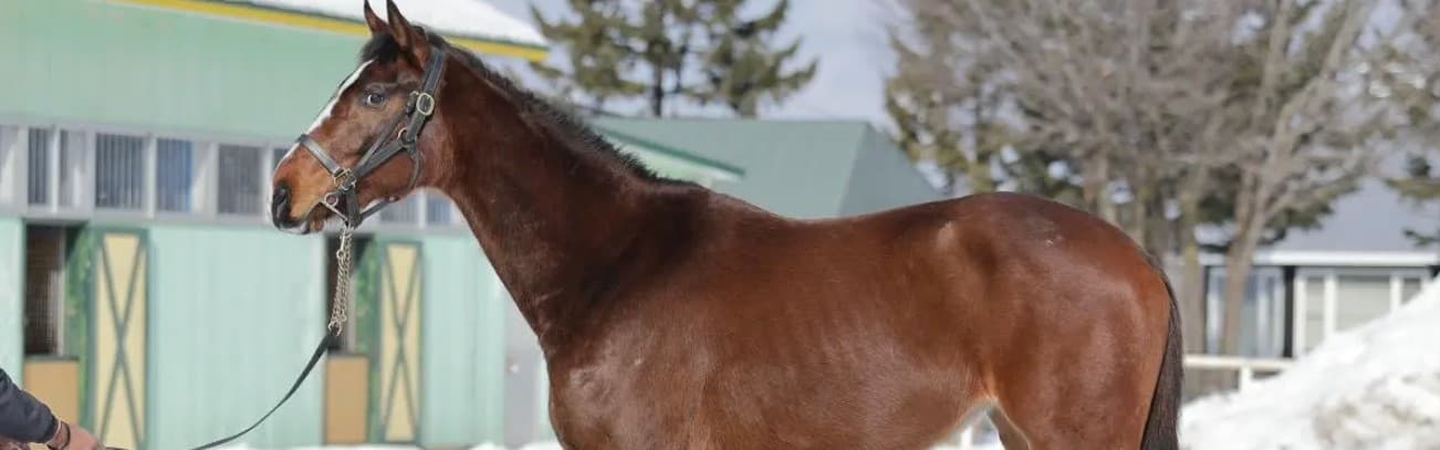 エトルアンフルールの2024