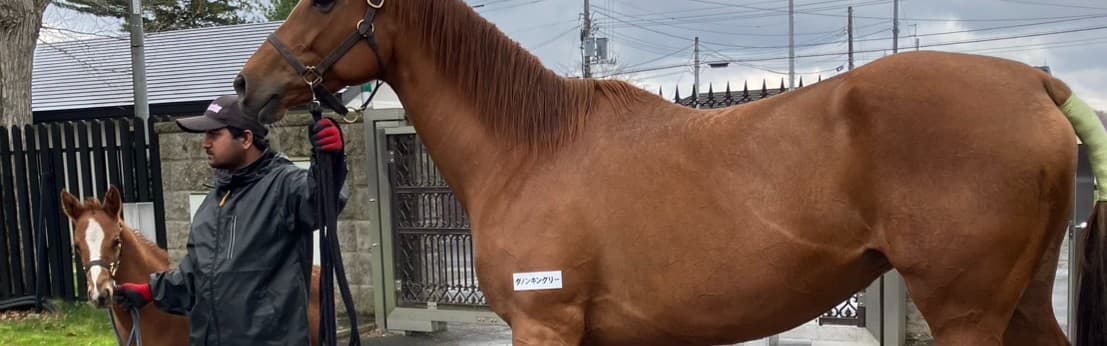 ニジイロノコマ