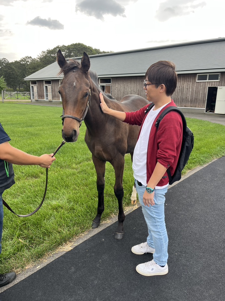 牧場で馬と触れ合う